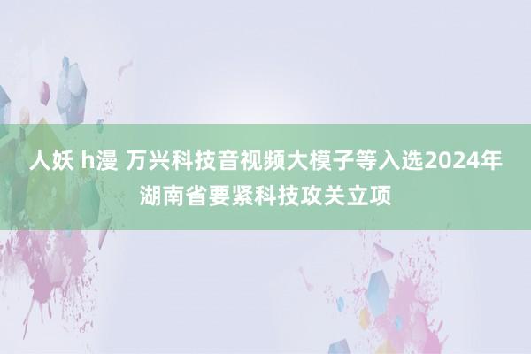 人妖 h漫 万兴科技音视频大模子等入选2024年湖南省要紧科技攻关立项