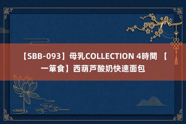 【SBB-093】母乳COLLECTION 4時間 【一箪食】西葫芦酸奶快速面包