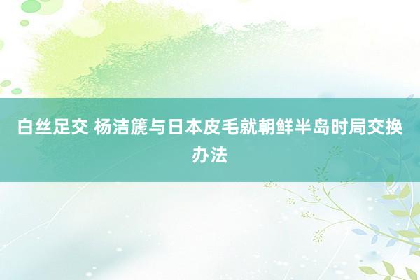 白丝足交 杨洁篪与日本皮毛就朝鲜半岛时局交换办法