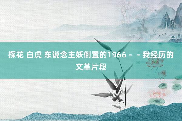 探花 白虎 东说念主妖倒置的1966－－我经历的文革片段