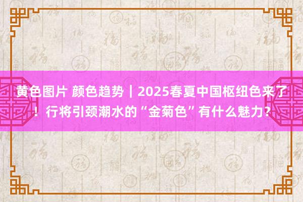 黄色图片 颜色趋势｜2025春夏中国枢纽色来了！行将引颈潮水的“金菊色”有什么魅力？